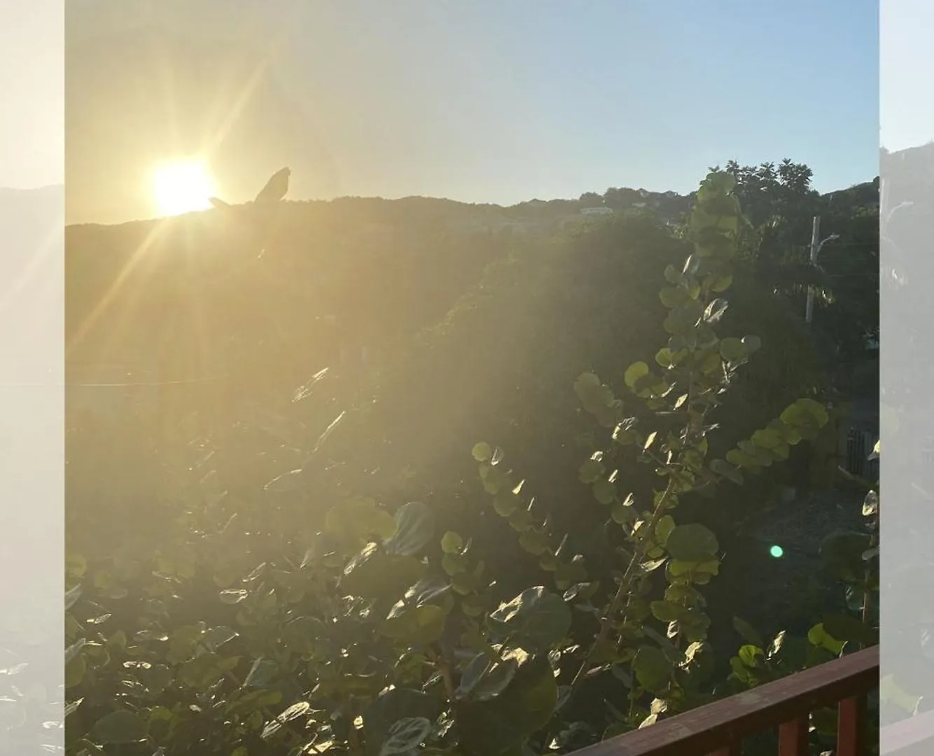 Bed and Breakfast Jamaica Like A Local, A Perfect Girls' Getaway With Curated Excursions Runaway Bay